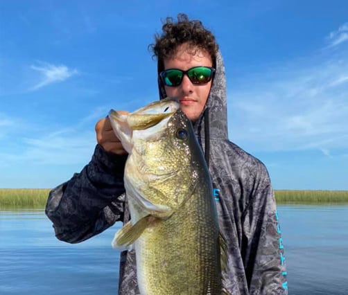 fish-6