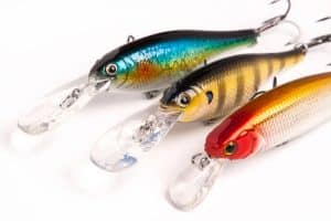 Live Bait Vs. Artificial Lures: What Works Best On Lake Okeechobee?