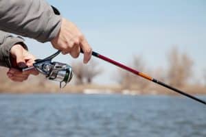 7 Must-Try Bass Fishing Techniques For Beginners