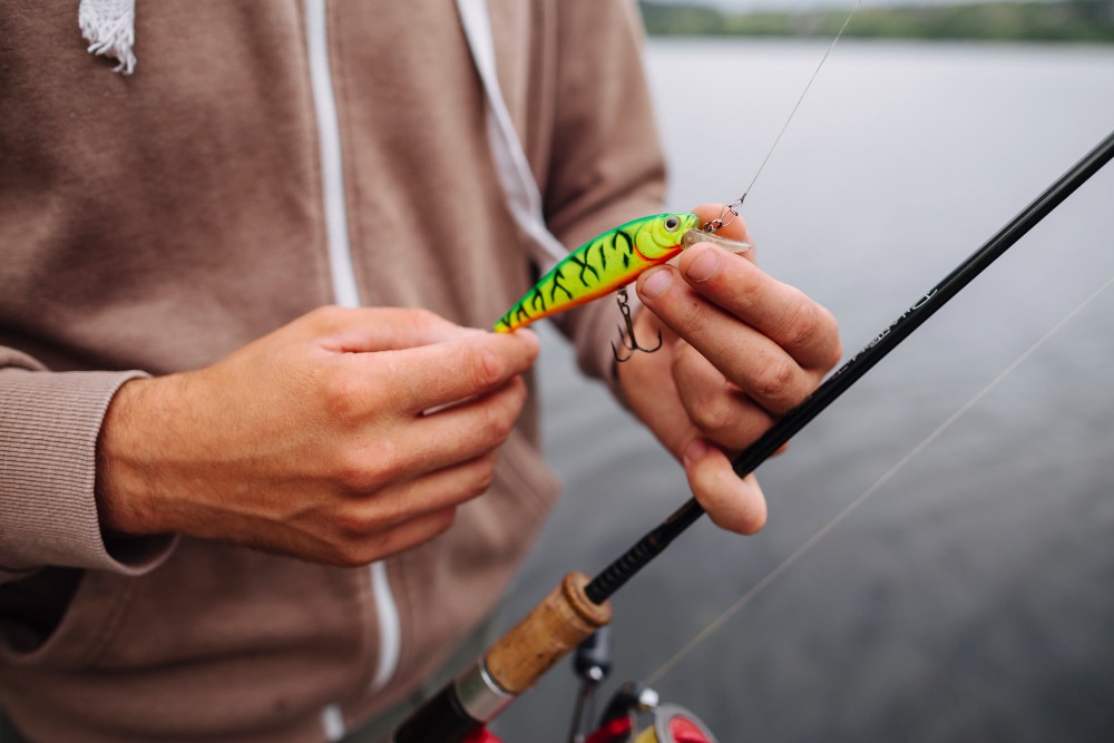 Best Black Bass Fishing Baits That Actually Work