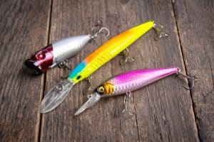 9 Must-Have Lures For Peacock Bass Fishing Success