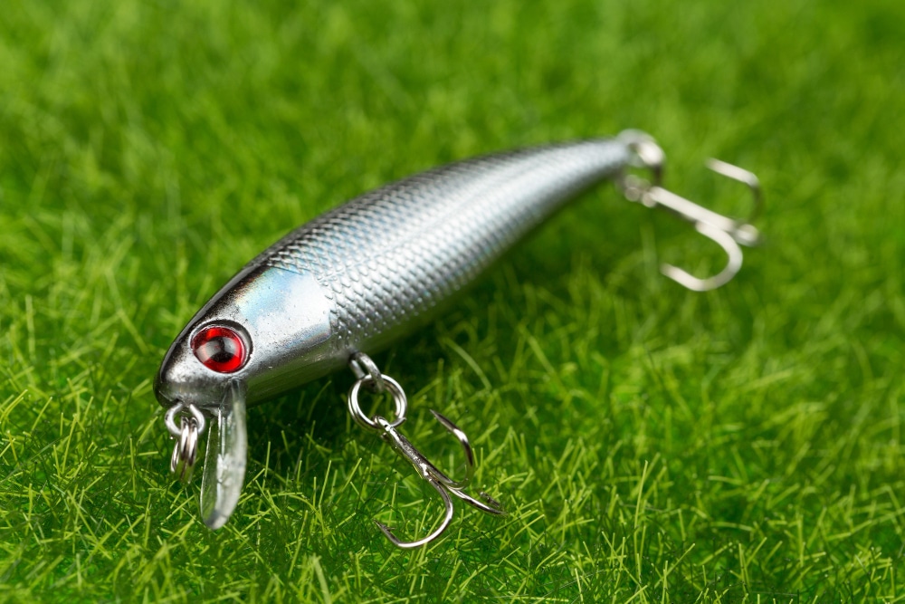 Best Baits For Catching Big Striped Bass